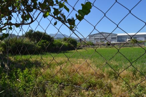 6250m² Land à Heraklion, Greece No. 56995 5