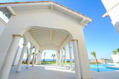 5 bedrooms Villa in Pervolia, Cyprus No. 100402 12