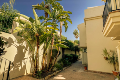 3 bedrooms Office in Cat Trinh, Vietnam No. 83901 5