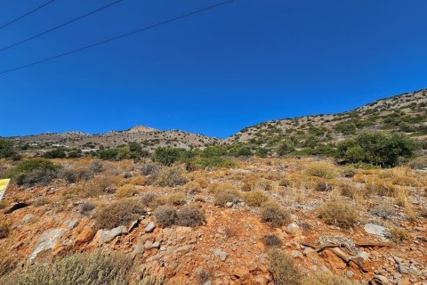 14549m² Land in Agios Nikolaos, Greece No. 55263 4
