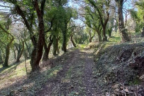 95095m² Land in Corfu, Greece No. 55316 6