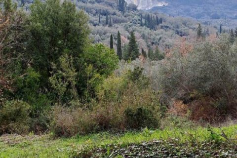 95095m² Land in Corfu, Greece No. 55316 12