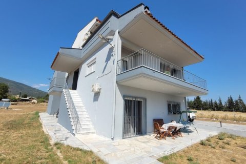 4 dormitorios House en Thermi, Greece No. 107364 4