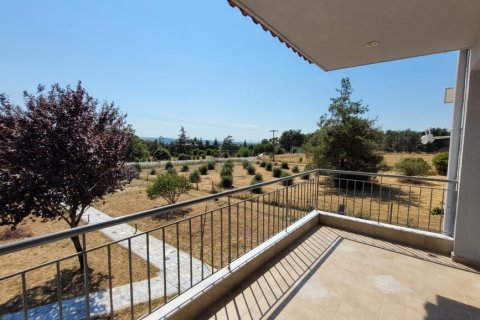 4 dormitorios House en Thermi, Greece No. 107364 30