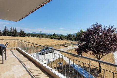 4 dormitorios House en Thermi, Greece No. 107364 25