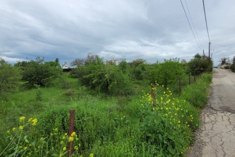 4000m² Land in Panorama, Greece No. 108047 3