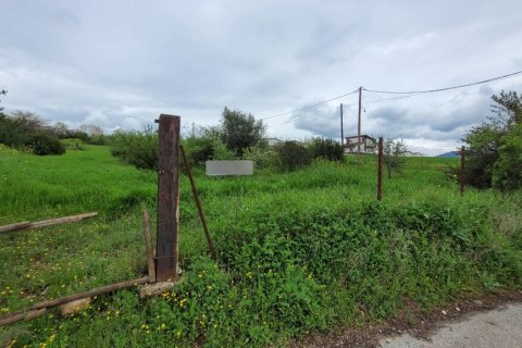 4000m² Land in Panorama, Greece No. 108047 6