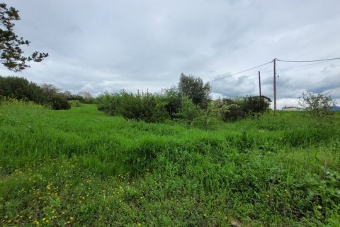 4000m² Land in Panorama, Greece No. 108047