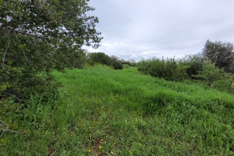 4000m² Land in Panorama, Greece No. 108047 2