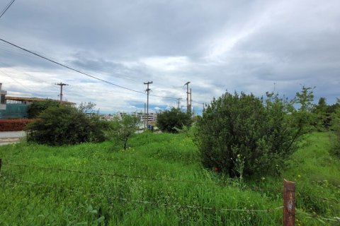 4000m² Land in Panorama, Greece No. 108047 4