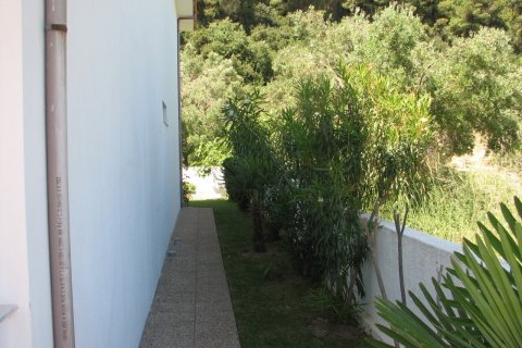 4 chambres House à Chalkidiki, Greece No. 55874 17