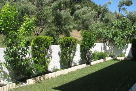 4 chambres House à Chalkidiki, Greece No. 55874 19