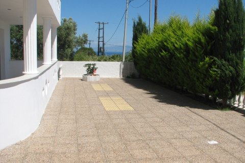 4 chambres House à Chalkidiki, Greece No. 55874 16