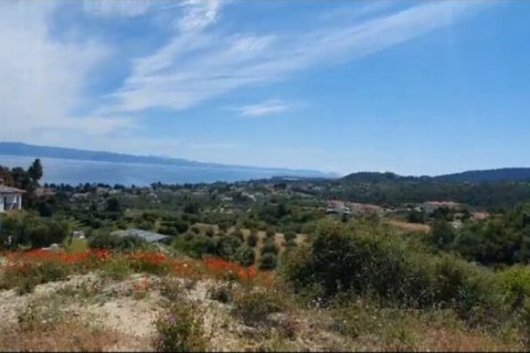 11444m² Land en Chalkidiki, Greece No. 108512 2
