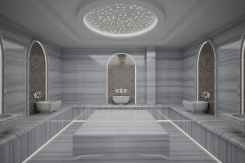 3 bedrooms Penthouse in Lien Chieu, Vietnam No. 12064 2