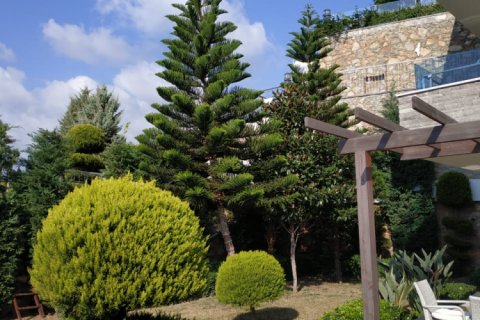 1 chambre Appartement à Nong Ha, Vietnam No. 14309 13