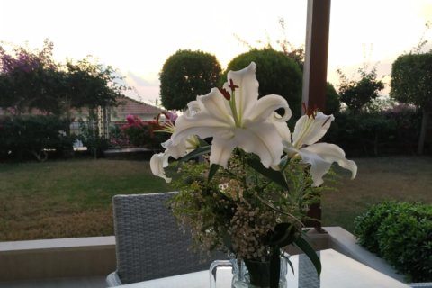 1 chambre Appartement à Nong Ha, Vietnam No. 14309 22