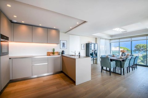 3 chambres Appartement à Antibes, France No. 69203 7