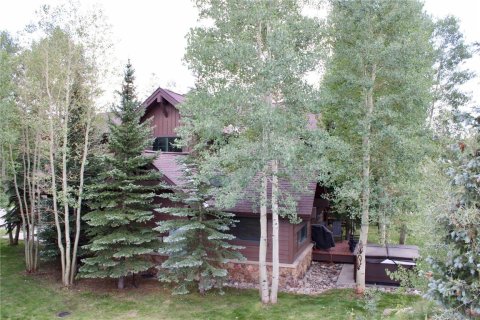 4 bedrooms Townhouse in Breckenridge, USA No. 104599 28