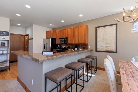 4 bedrooms Townhouse in Breckenridge, USA No. 104599 20