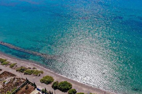 5 bedrooms Villa in Kranidi, Greece No. 108432 22