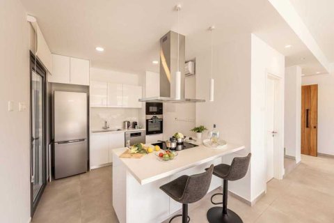 Вилла с 3 спальнями в Пернера, Кипр №42565 12