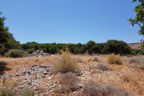8000m² Land in Agios Nikolaos, Greece No. 57261 3