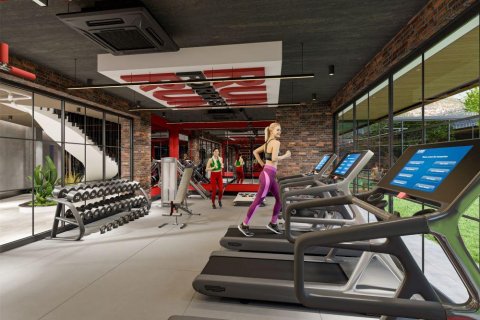 2 rooms Apartment in Chau Lang, Vietnam No. 20959 16