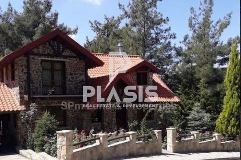 Вилла с 3 спальнями в Пера Педи, Кипр №101032 3