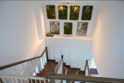 3 bedrooms Penthouse in Chau Lang, Vietnam No. 12853 12