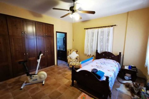 4 chambres Villa à Anglisides, Cyprus No. 100681 6