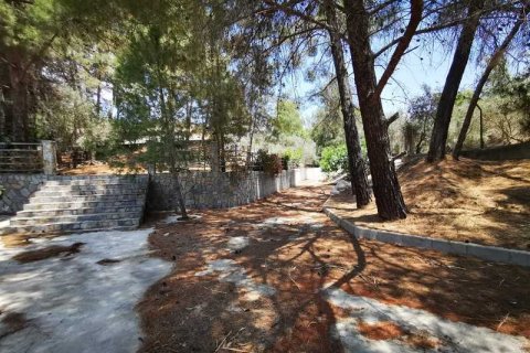 4 chambres Villa à Anglisides, Cyprus No. 100681 11