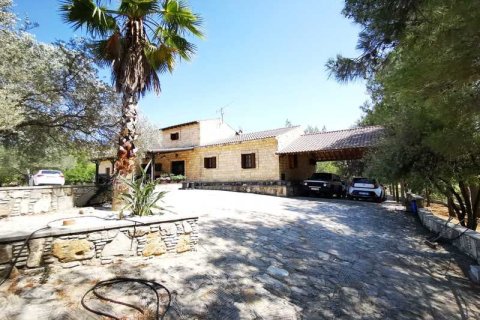 4 chambres Villa à Anglisides, Cyprus No. 100681 7