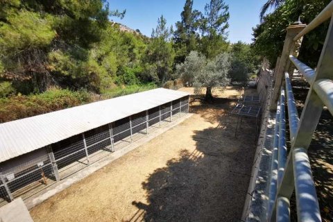 4 chambres Villa à Anglisides, Cyprus No. 100681 8