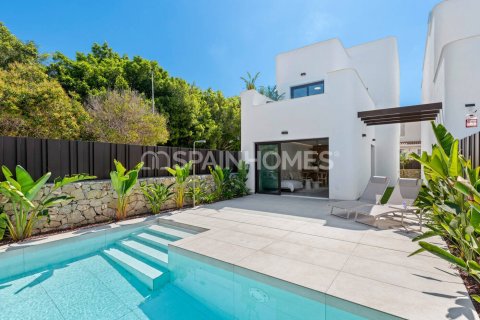 3 bedrooms Villa in Pilar de la Horadada, Spain No. 69781