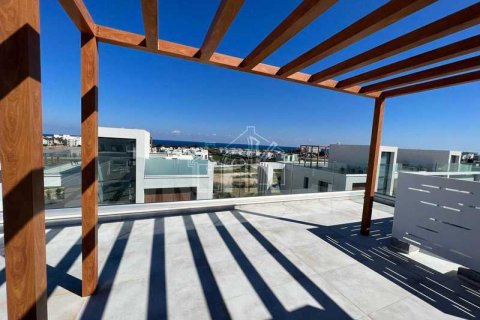 3 bedrooms House in Protaras, Cyprus No. 101338 15