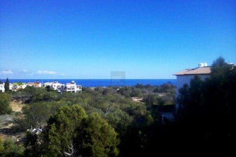 Дом с 4 спальнями в Айя Напа, Кипр №29644 4