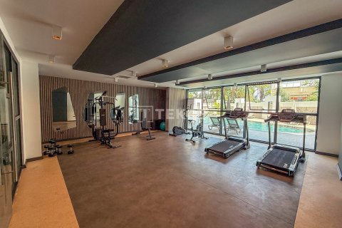 1 bedroom Apartment in Chau Lang, Vietnam No. 91024 13