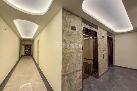 1 bedroom Apartment in Chau Lang, Vietnam No. 91024 14