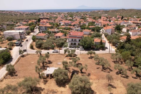 Land in Thasos, Greece No. 109284 2