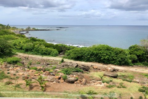 3 bedrooms Apartment in Flic-en-Flac, Mauritius No. 60917 16