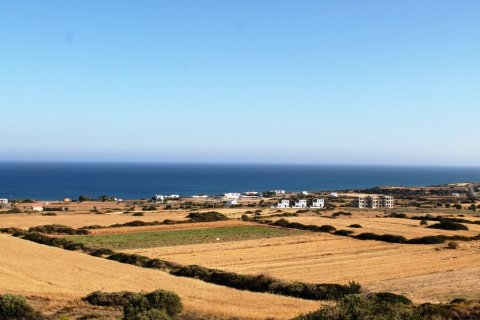 200m² Business in Rhodes, Greece No. 59517 4