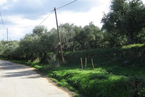 Land in Zakynthos, Greece No. 24690 2