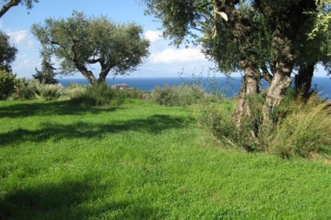 Land in Zakynthos, Greece No. 24690 3