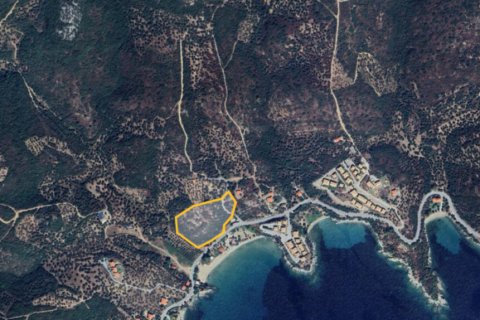 15250m² Land in Chalkidiki, Greece No. 109407 2