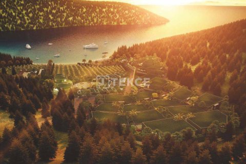 5 bedrooms Villa in Phi Dien, Vietnam No. 17732 6