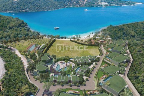 5 bedrooms Villa in Phi Dien, Vietnam No. 17732 4