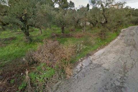 Land in Zakynthos, Greece No. 28061 9