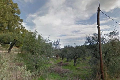 Land in Zakynthos, Greece No. 28061 13