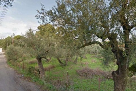 Land in Zakynthos, Greece No. 28061 3